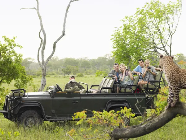 Toeristen op zoek naar cheetah — Stockfoto