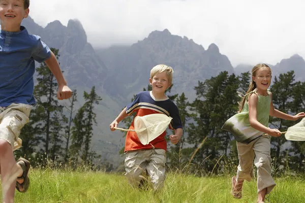 Kinderen vangen Bugs in veld — Stockfoto