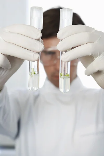 Lab werknemer onderzoeken reageerbuisjes — Stockfoto