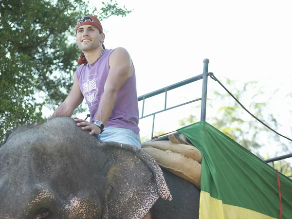 Mann reitet Elefant — Stockfoto