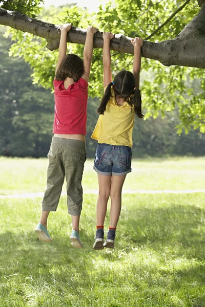 Girls Hanging on Branch — Stock Photo, Image