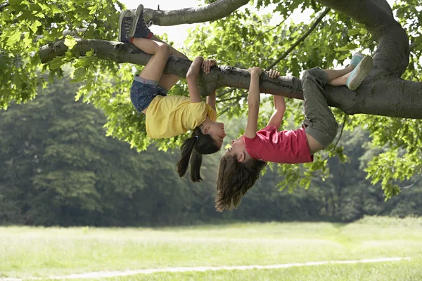 Girls Hanging on Branch — Stock Photo, Image