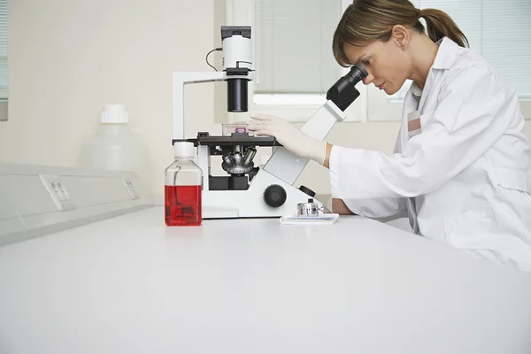 Technician Using Microscope — Stock Photo, Image