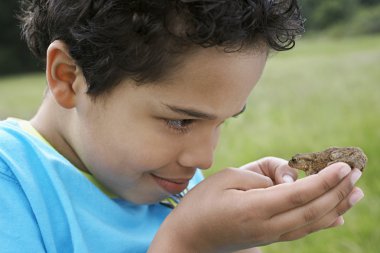 Boy Examining Frog clipart