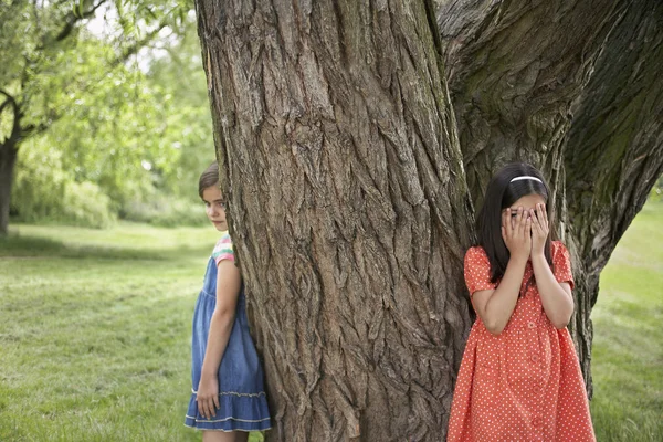 Girls Playing Hide-and-Seek — Stock Photo, Image