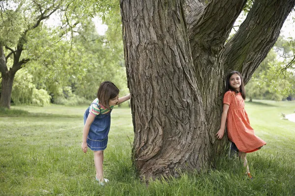 Meninas brincando Ocultar-e-Procurar — Fotografia de Stock