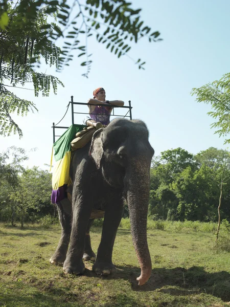 Mujer montando elefante — Foto de Stock
