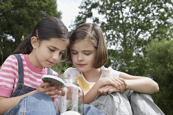 Petites filles avec Mantis en pot — Photo