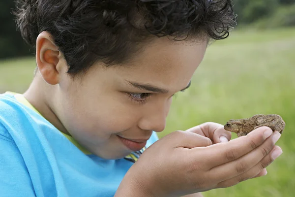 Junge untersucht Frosch — Stockfoto