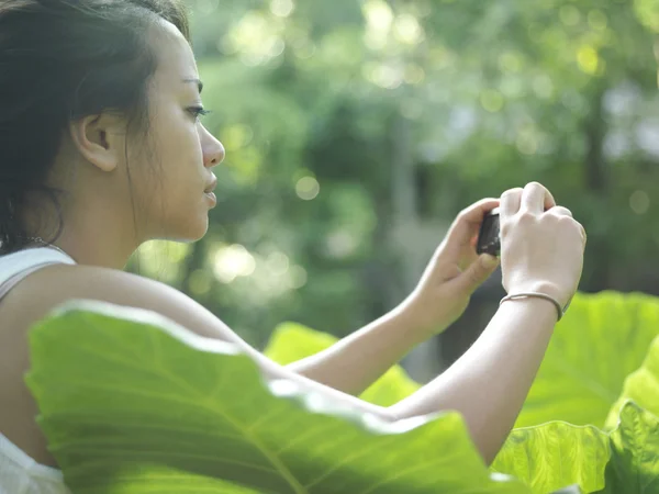 女性は葉の写真を撮る — ストック写真