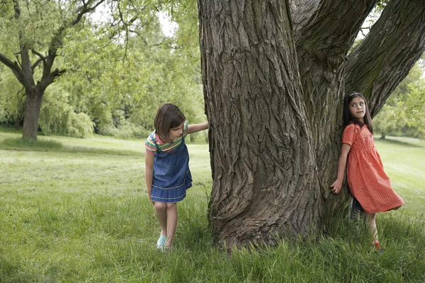 Meninas brincando Ocultar-e-Procurar — Fotografia de Stock