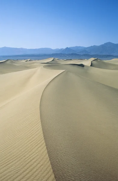 Ridge de dunas de arena — Foto de Stock