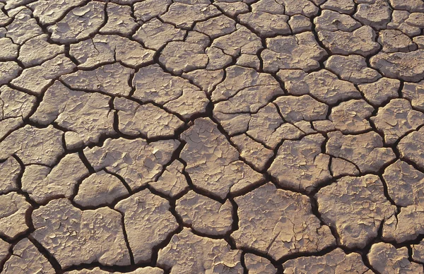 Tierra agrietada en el desierto —  Fotos de Stock