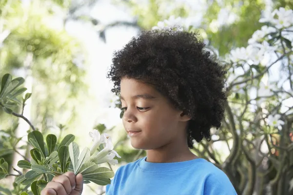 Pojke att lukta blommor — Stockfoto