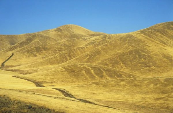 Strada attraverso colline gialle — Foto Stock