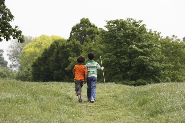 Ragazzi a piedi attraverso il prato — Foto Stock