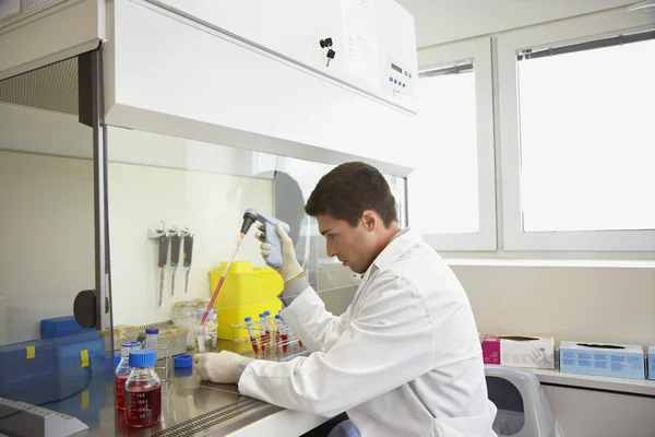 Tubos de teste de enchimento do técnico — Fotografia de Stock