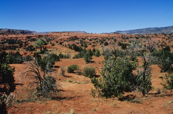 Paisagem deserta rochosa — Fotografia de Stock