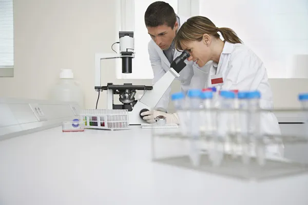 Technicians Using Microscope — Stock Photo, Image