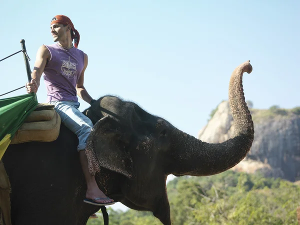 Homem montando elefante — Fotografia de Stock