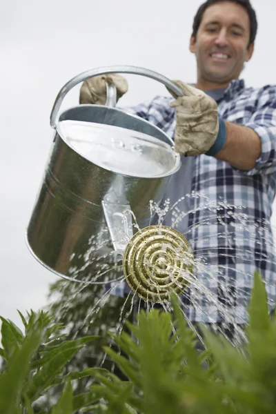 植物に水をまく男 — ストック写真