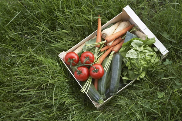 Ящик из свежих овощей — стоковое фото