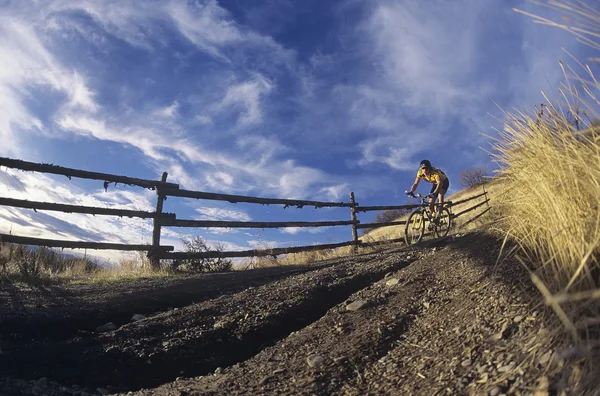 Mountain Biking on Dirt Track — Stock Photo, Image