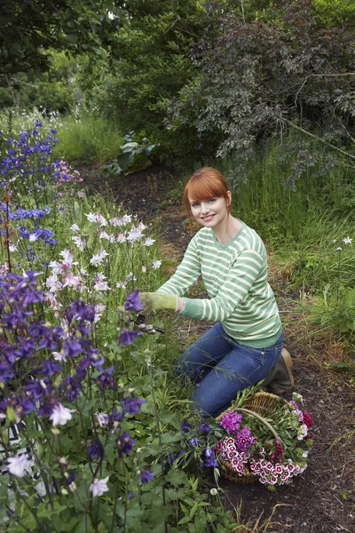 Mujer recogiendo flores —  Fotos de Stock