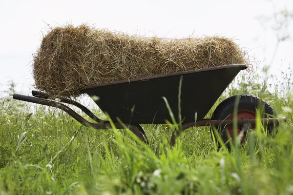 Hay bale on wheelbarrow in field — Stock Photo, Image