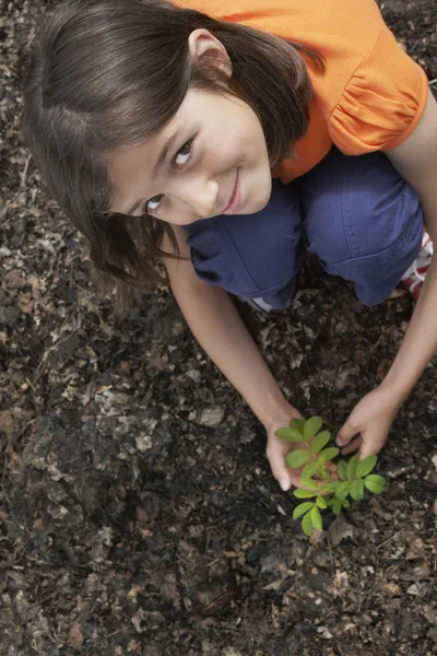 Girl with Seedling — Stock Photo, Image