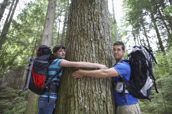 Árbol abrazador de pareja — Foto de Stock