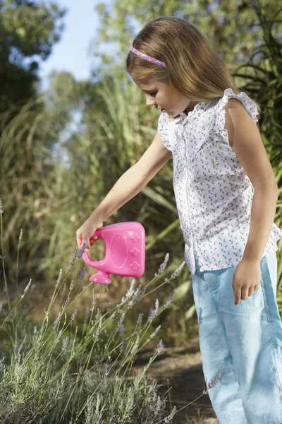 Girl watering plant — Stock Photo, Image