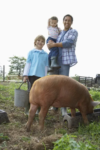 Family Feeding Pigs — Stock Photo, Image