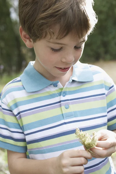 Niño sosteniendo flores — Foto de Stock