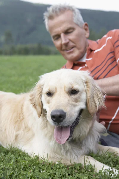 Çimenlerin üzerinde golden retriever ile yatan adam — Stok fotoğraf