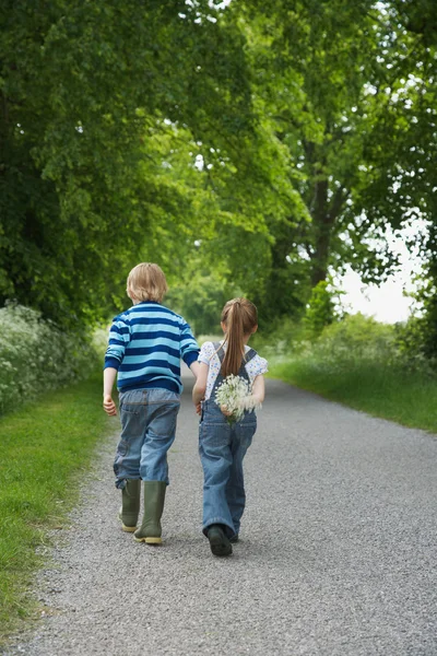 Brother and Sister Walking — Stock Photo, Image