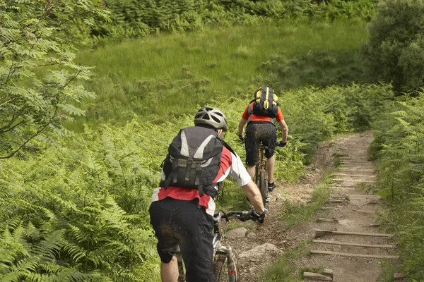 Ciclistas en pista en el campo —  Fotos de Stock