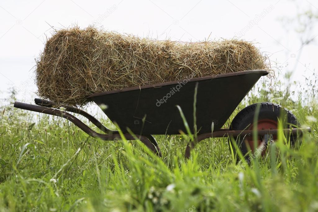 Hay bale on wheelbarrow in field
