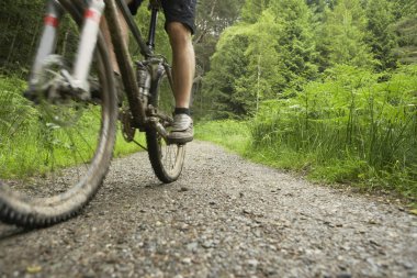 kırsal kesimde yolda bisikletçi