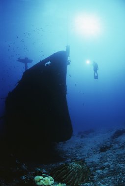 Diver exploring bow of sunken clipart