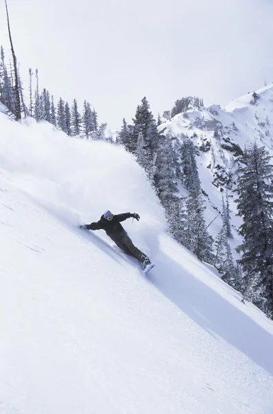 Snowboarder aflopende besneeuwde helling — Stockfoto