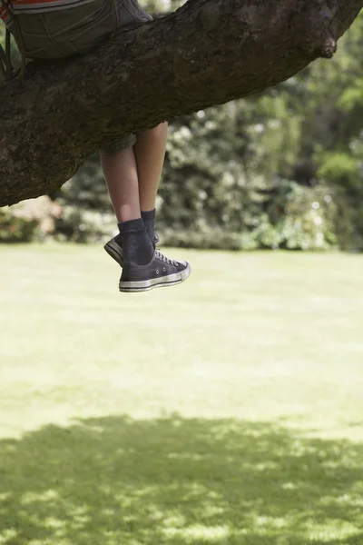 Ragazzo su ramo di albero — Foto Stock