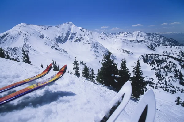 Two pairs of skis — Stock Photo, Image