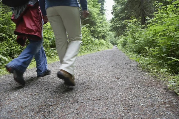 Pessoas caminhando na trilha florestal — Fotografia de Stock