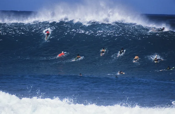 Серфингисты, едущие на волнах — стоковое фото