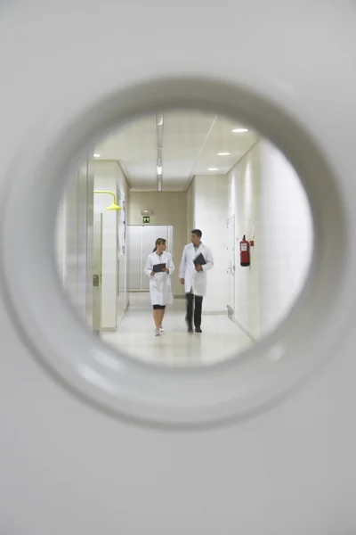 Cientistas no Centro de Investigação — Fotografia de Stock