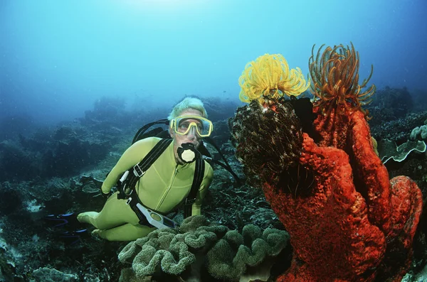 Nuoto subacqueo femminile — Foto Stock