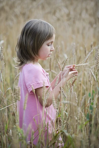 Meisje in een veld — Stockfoto