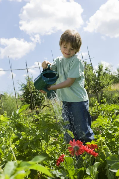 Junge gießt Blumen — Stockfoto