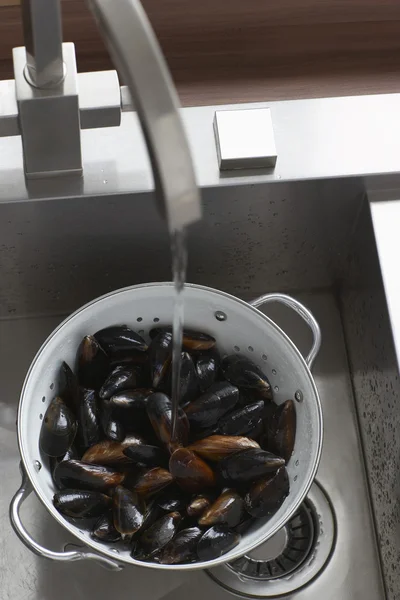 Mussels in kitchen sink — Stock Photo, Image